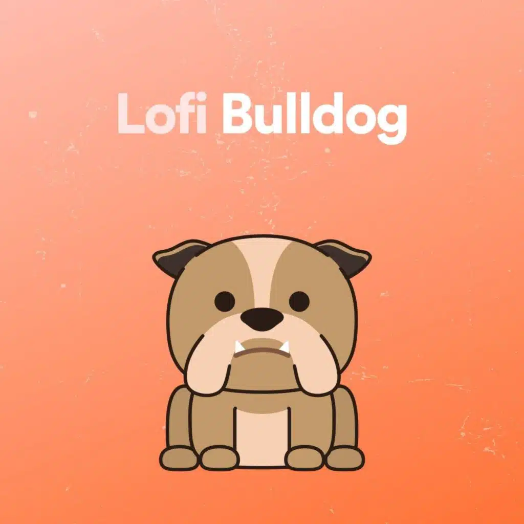 The Case (Lofi Beat)