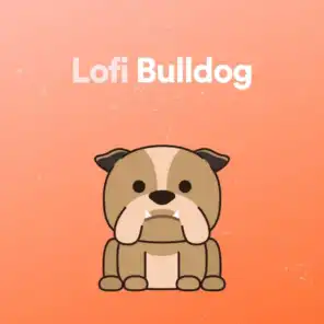 Lofi Bulldog