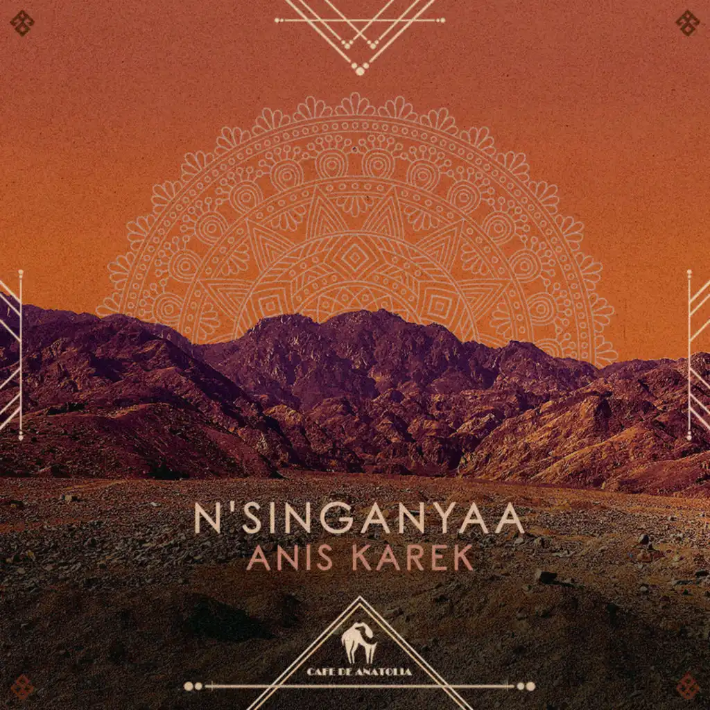 N'singanyaa (feat. Rialians on Earth)