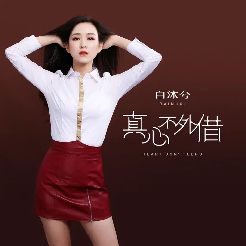 真心不外借 (DJ默涵版)