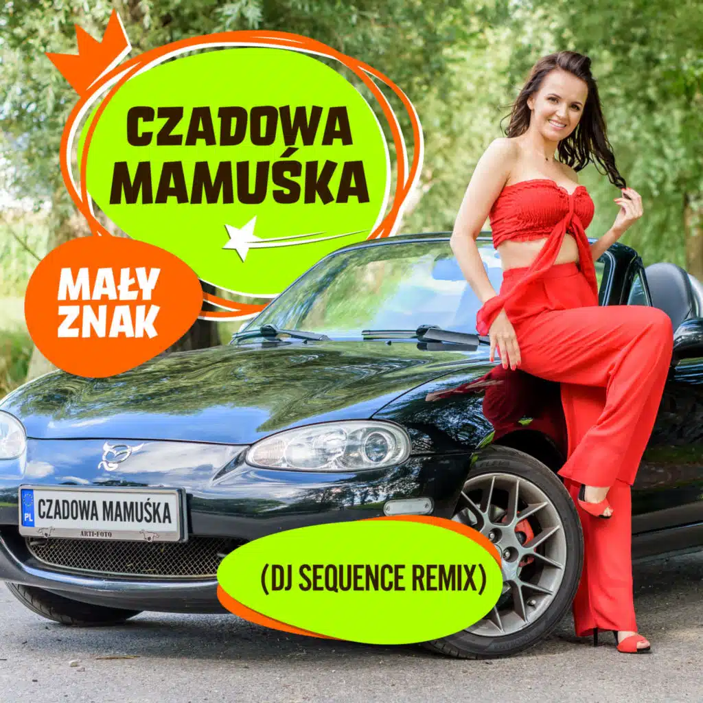 Mały Znak (DJ Sequence Remix)