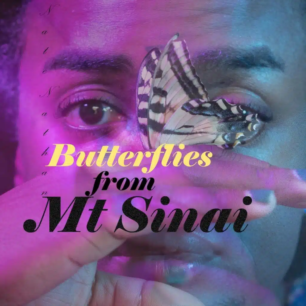Butterflies from Mt Sinai