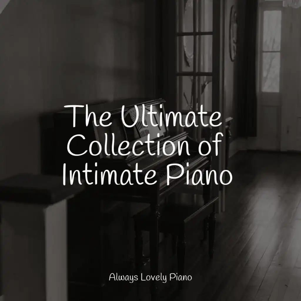 Relaxing Piano Music Consort, Relajante Música de Piano Oasis, Piano Love Songs