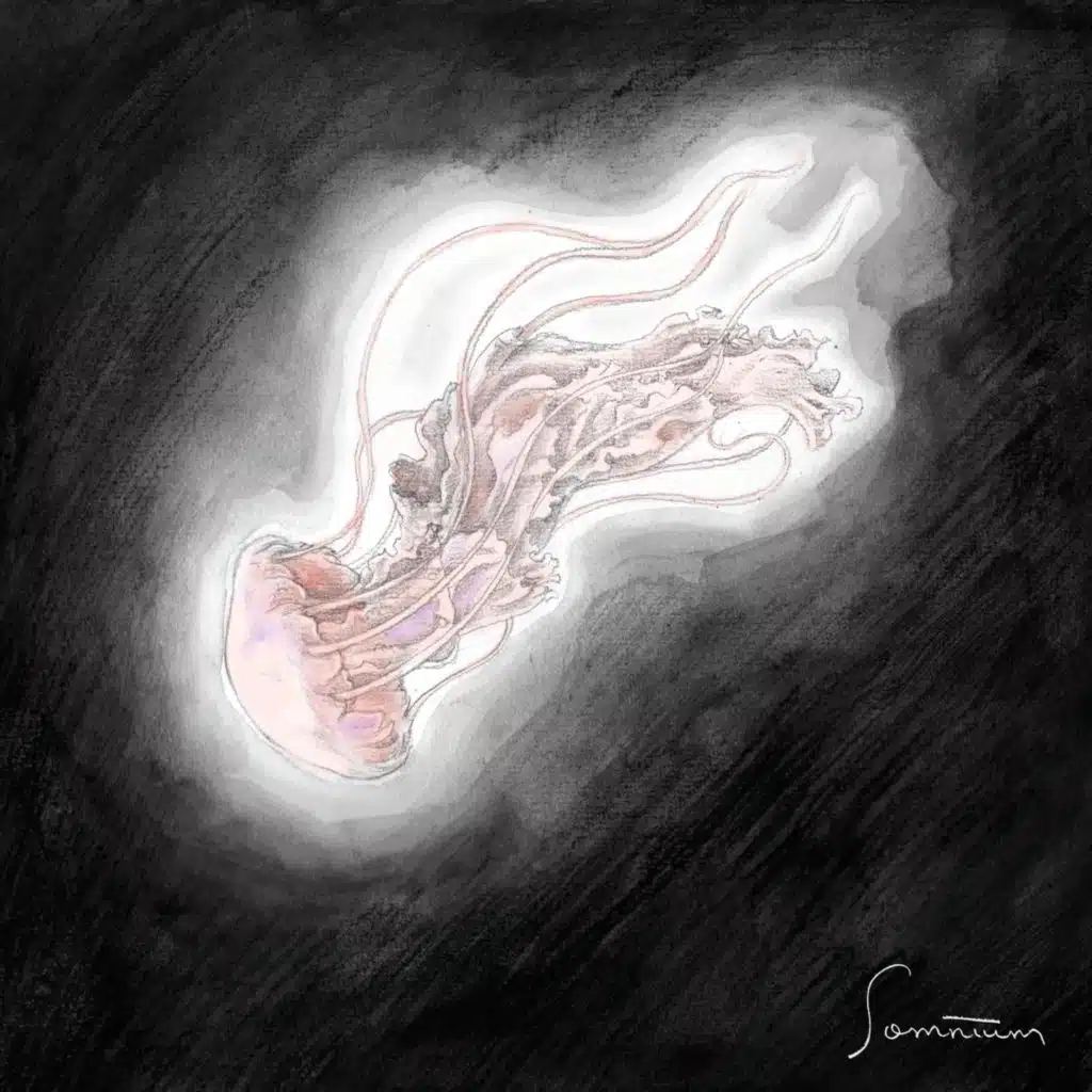 Somnium