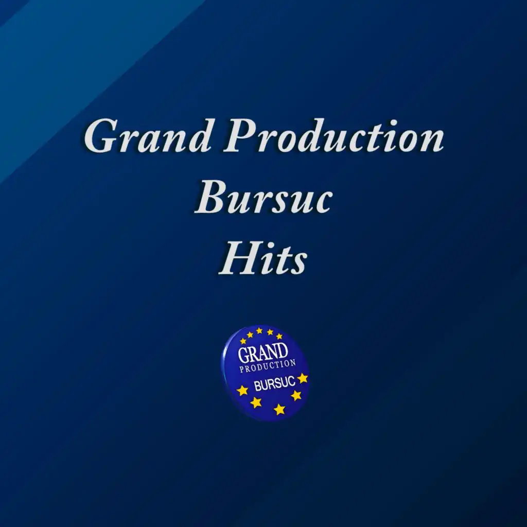 Grand Production Bursuc Hits