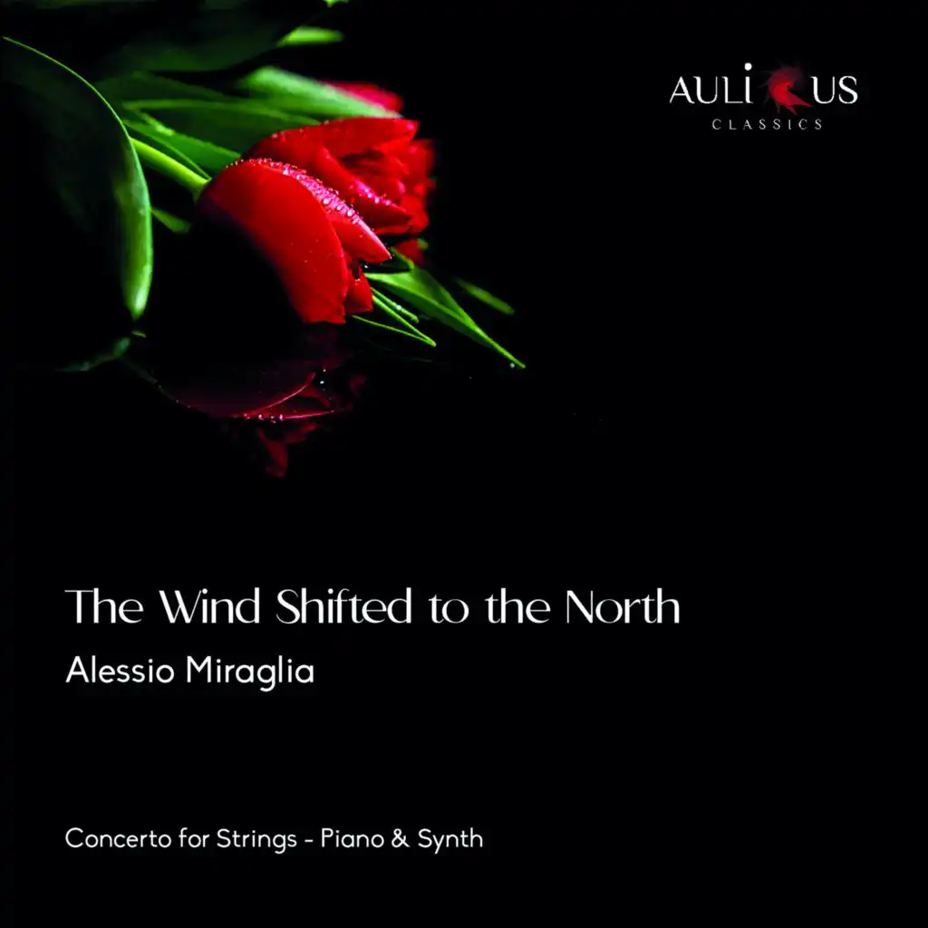 The Wind Shifted To The North (Concerto For Strings, Piano & Synth)