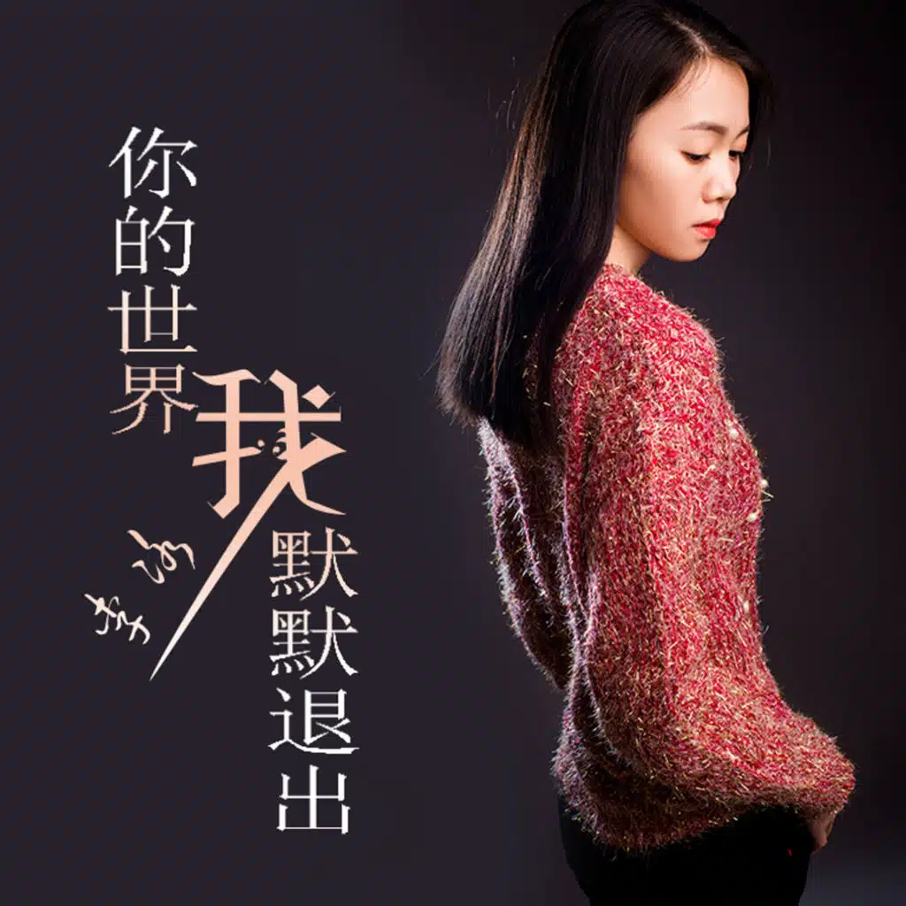 你的世界我默默退出