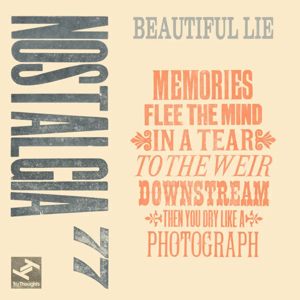 Beautiful Lie (Natural Magnetic Remix)