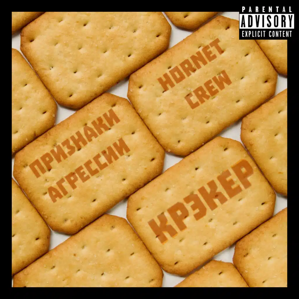 ПРИЗНАКИ АГРЕССИИ & Hornet Crew