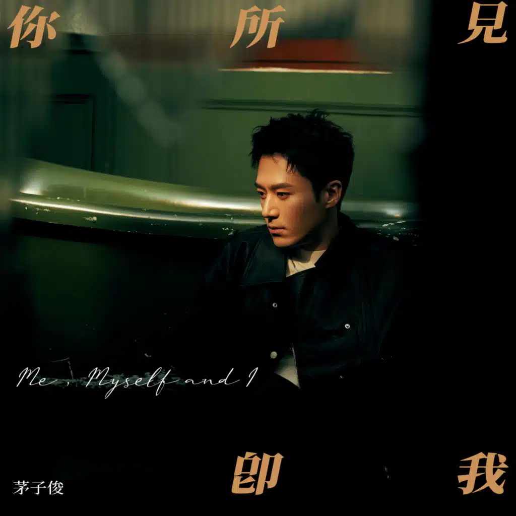 你所见即我