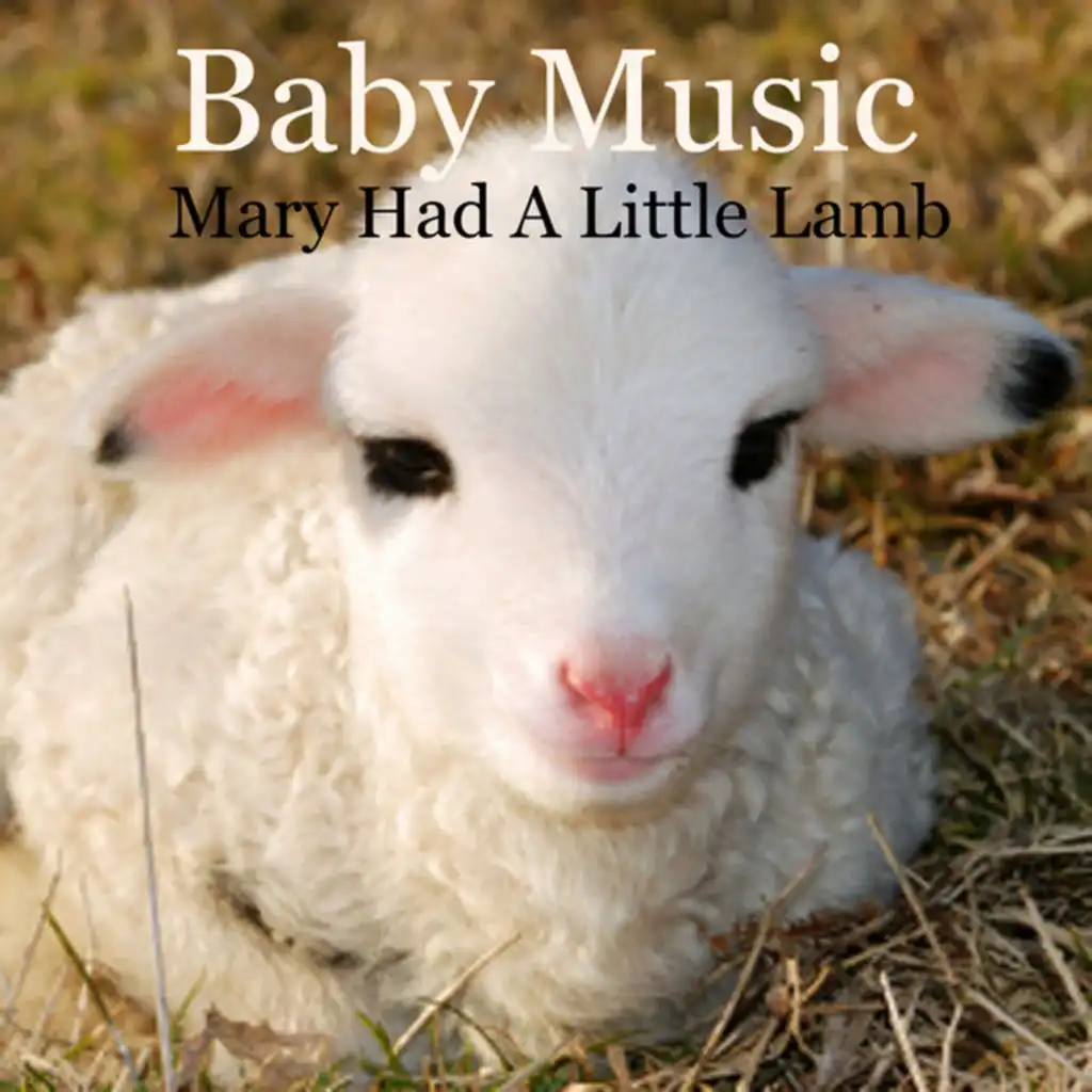 Baby Music - Mary Had a Little Lamb