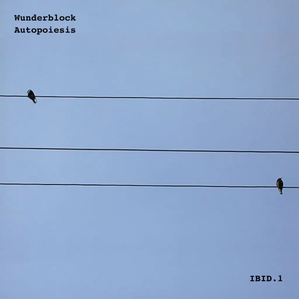 Wunderblock