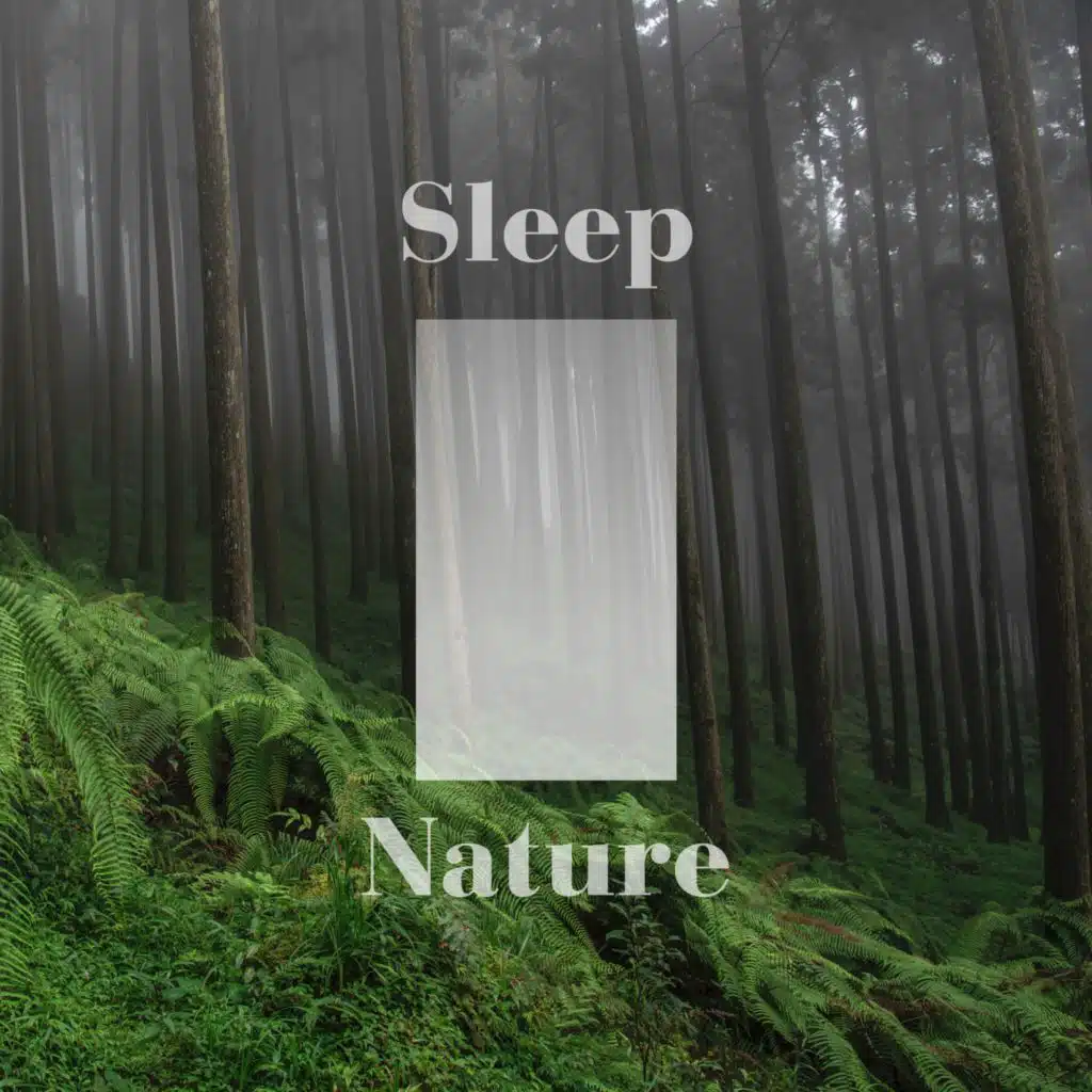 Sleep Nature Sounds Deep White Noise
