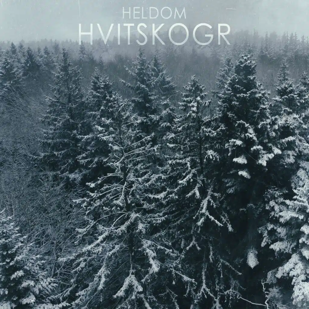 Hvitskogr