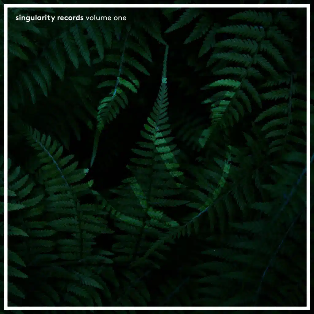 Singularity Records