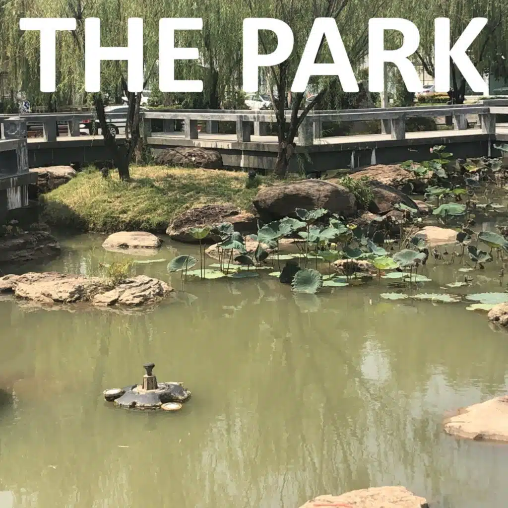 The Park