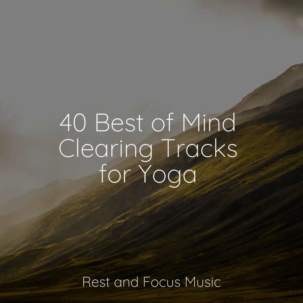 40 Best of Mind Clearing Tracks for Yoga
