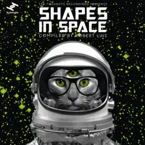 Shapes in Space