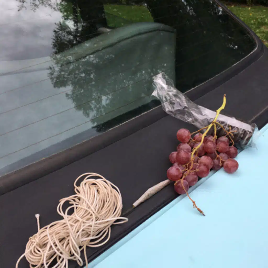 Be Curious, Get Furious & Stay Calm 