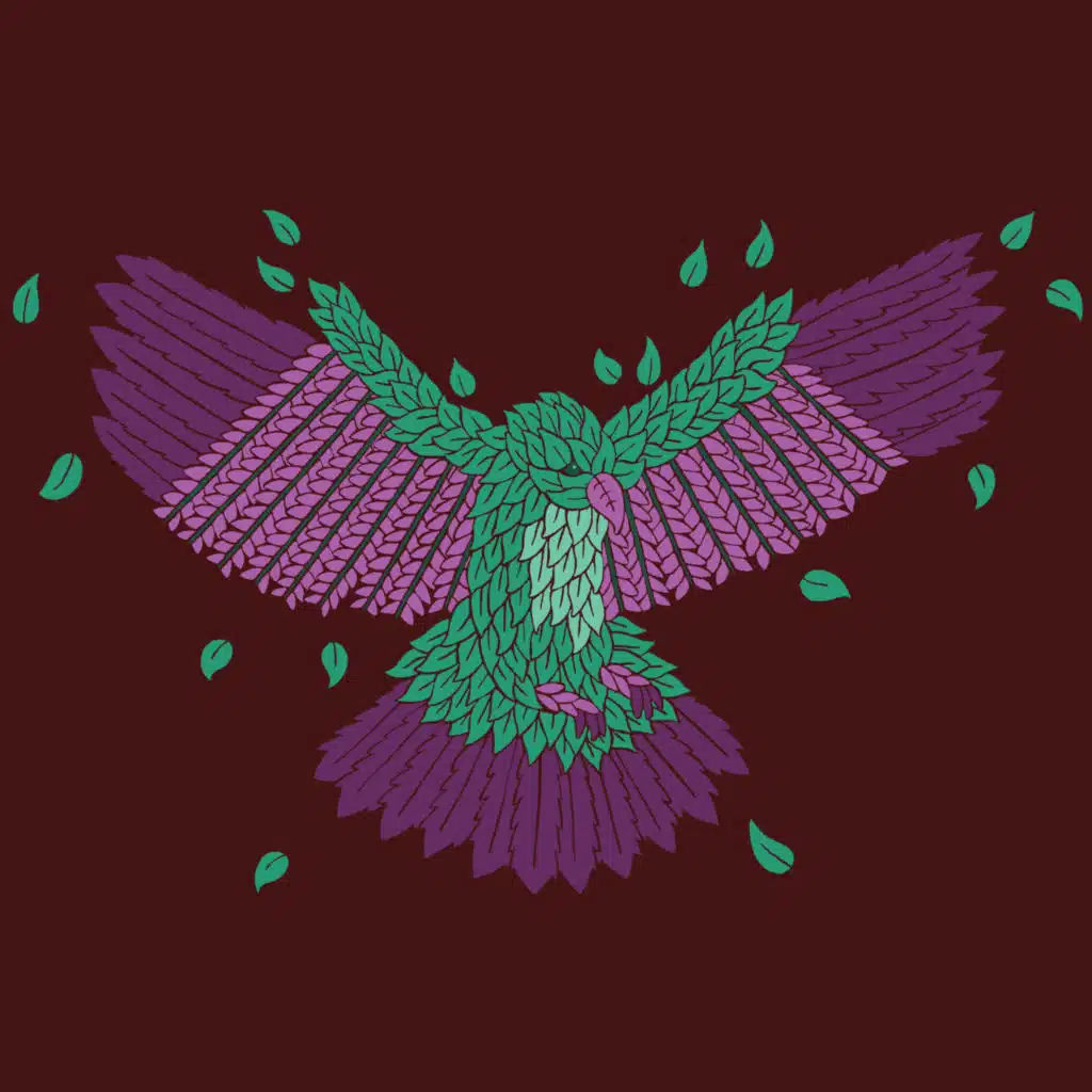 Message To Bears & Levi Patel