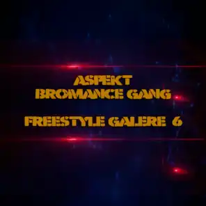 Aspekt Bromance Gang