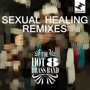 Sexual Healing (I Record the Hands Remix)