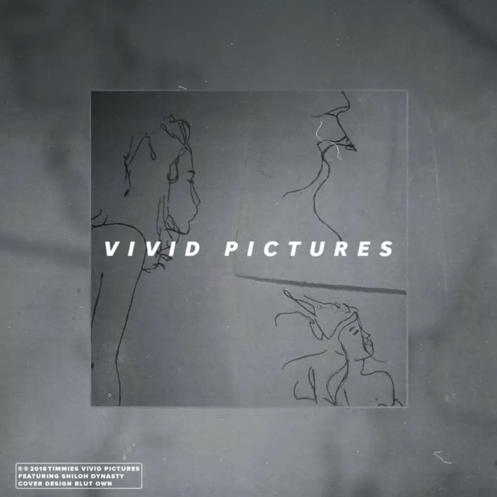 Vivid Pictures