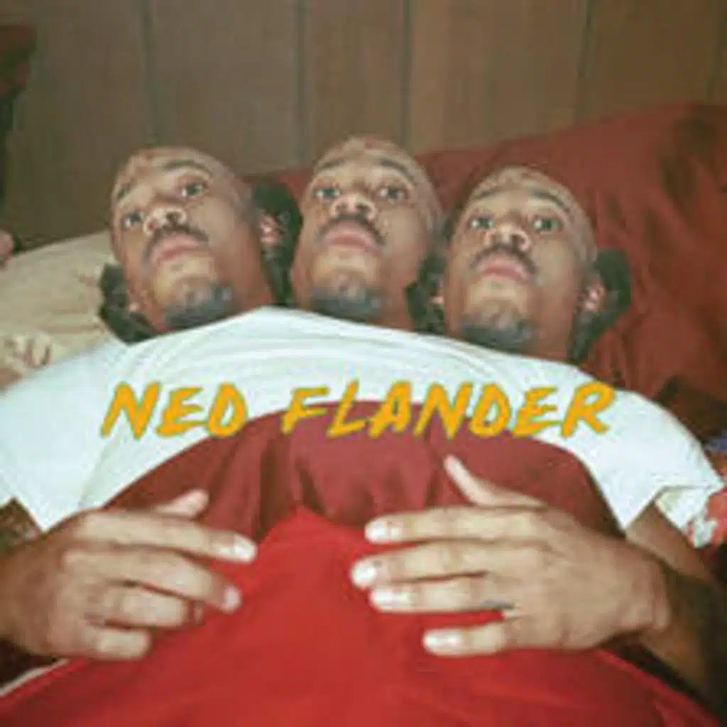 NY (Ned Flander) [feat. Hodgy & Tyler, The Creator]