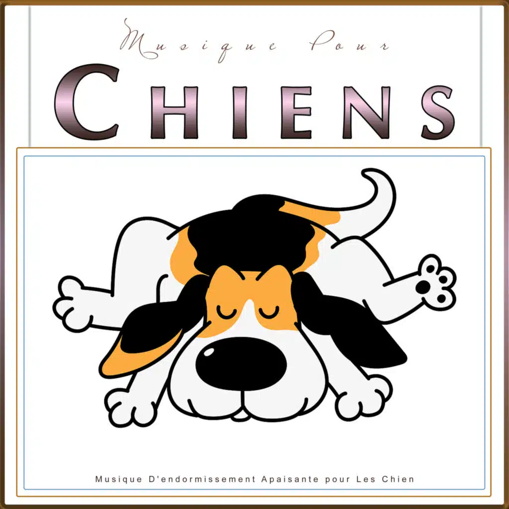 Musique Guitare Calme Pour Chiens