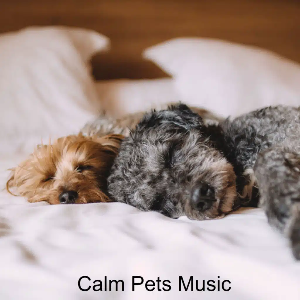 Good Doggo Music (feat. Music For Cats, World of cat's & Музыка для кошек)