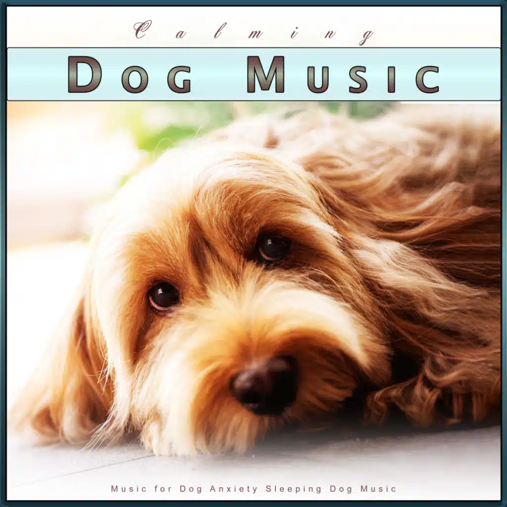 Dog Music Collective, Calming Music For Dogs & Pet Care Club