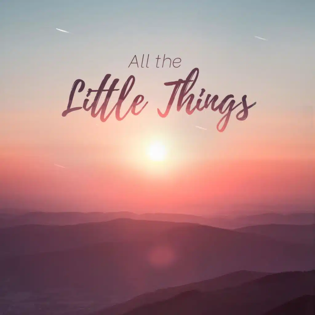 All the Little Things (feat. BigRicePiano)