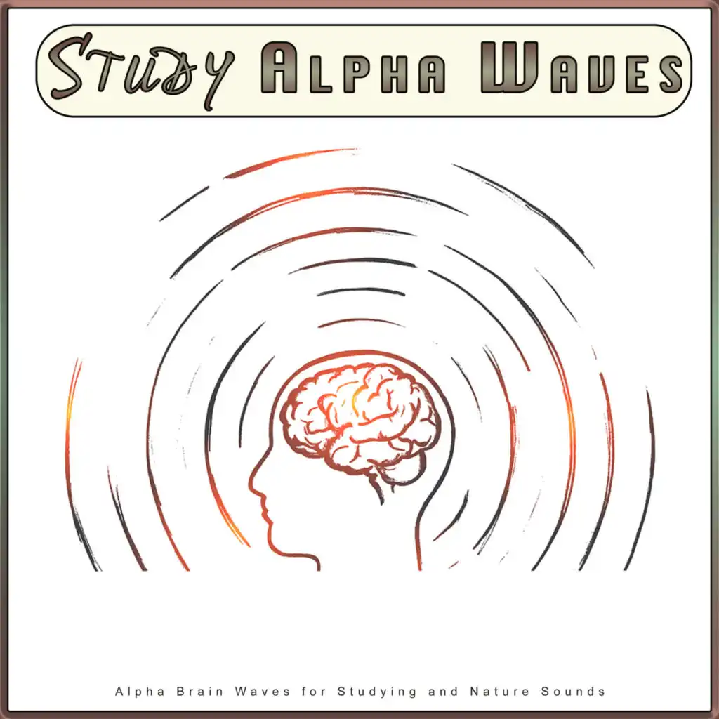 Study Alpha Waves, Alpha Brain Waves & Binaural Beats Study Collective