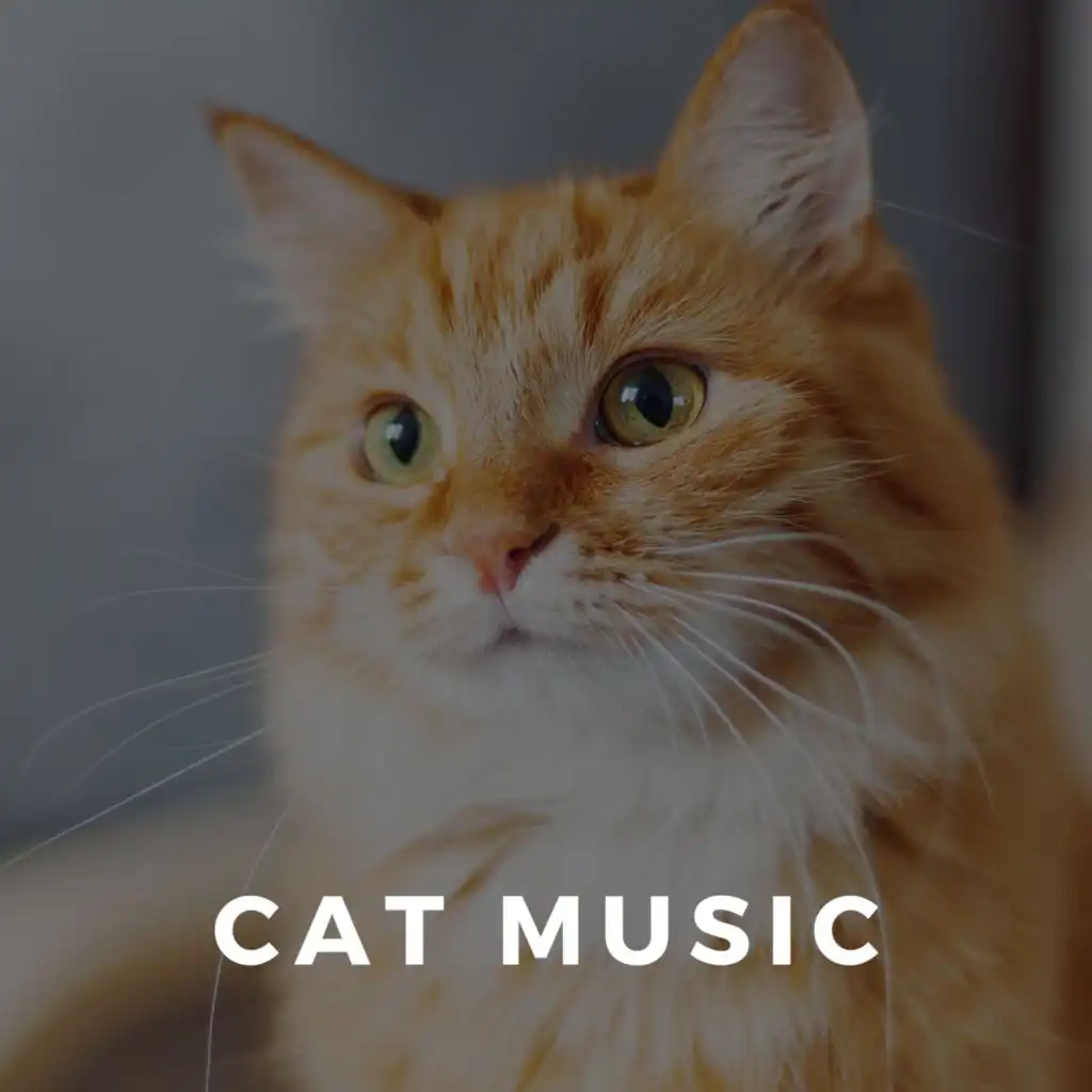 Peaceful Music For Cats