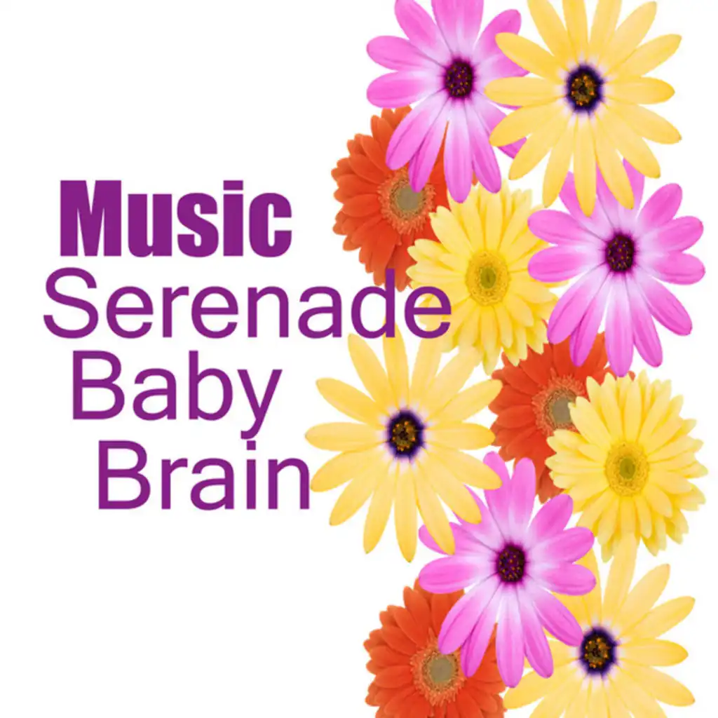 Serenade: Baby Brain Music