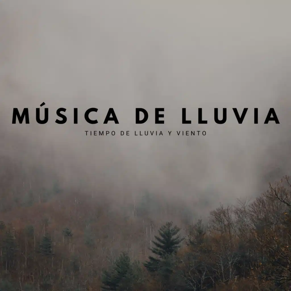 Música De Lluvia: Tiempo De Lluvia Y Viento