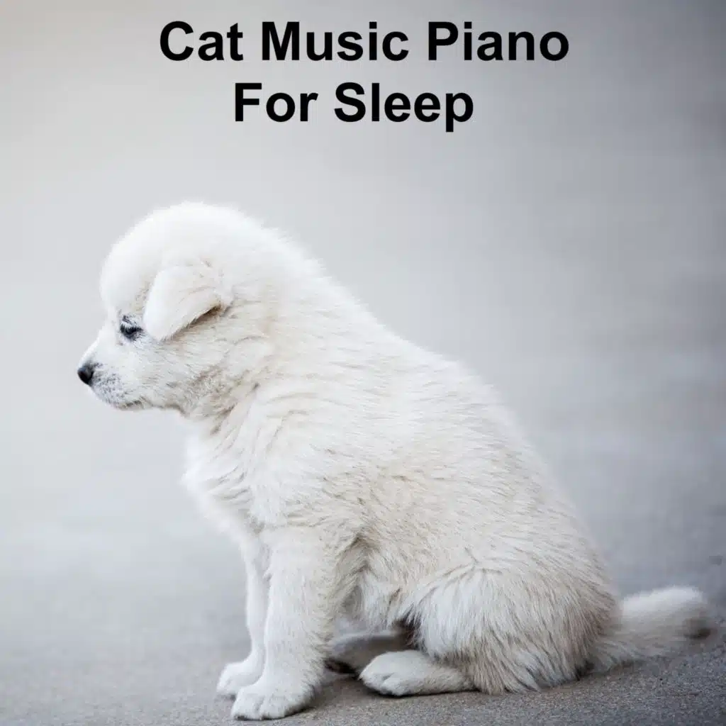 Music for dog's joys, Music For Cats, World of cat's & Музыка для кошек