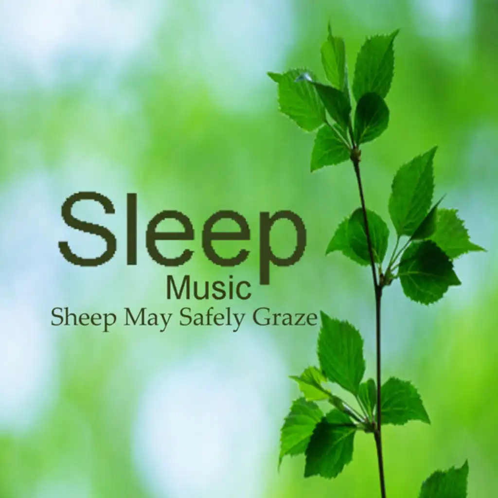 Sleeping Music: Sheep May Safely Graze