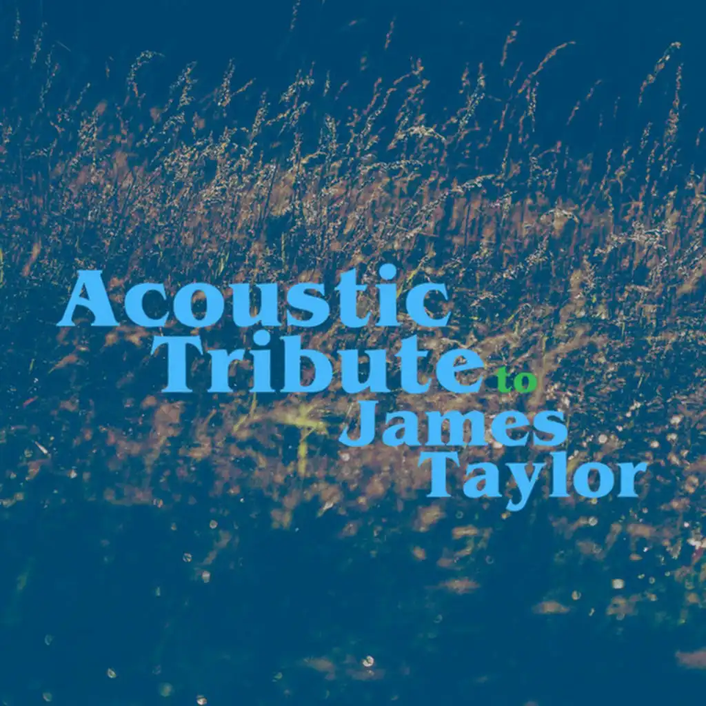 Acoustic Guitar: Tribute to James Taylor