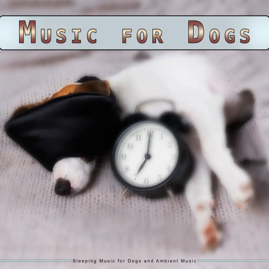 Dog Sleep Music