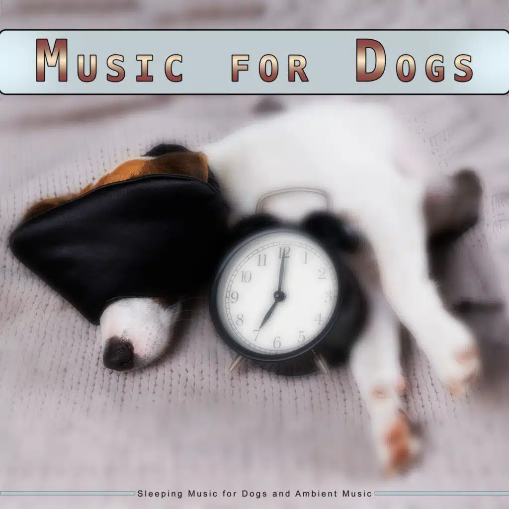Music for Dogs: Calming Music for Dogs and Ambient Music