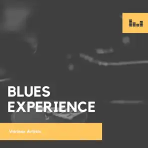 Blues Experience