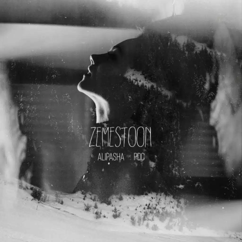 Zemestoon (feat. PDC)
