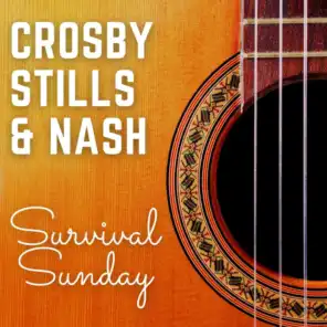 Crosby, Stills & Nash: Survival Sunday