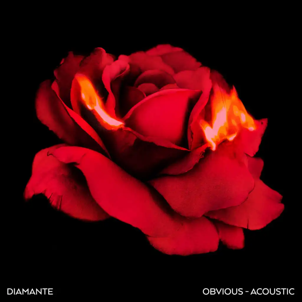 Obvious (Acoustic)