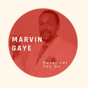 Never Let You Go - Marvin Gaye
