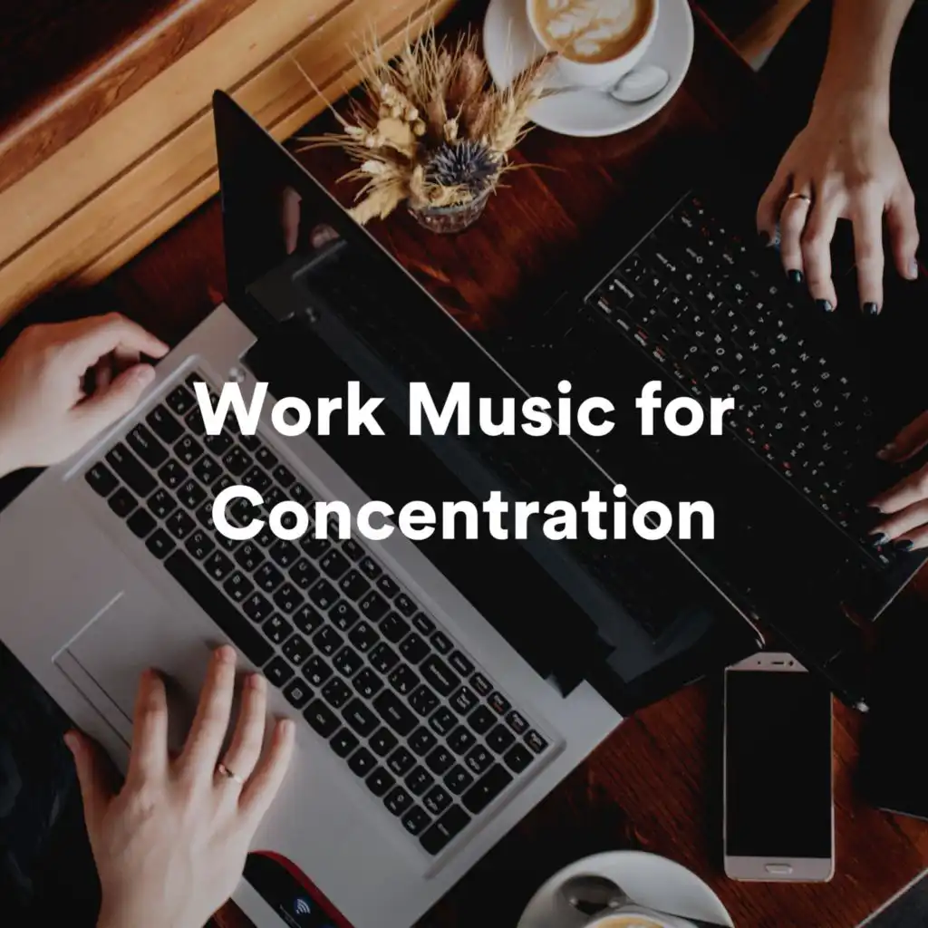 Concentration Music for Work, Work Music & Catching Sleep