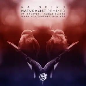 Naturalist | Remixed (feat. arketech & Harrison Downes)