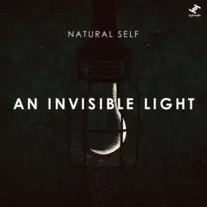 An Invisible Light (Robinn Remix)