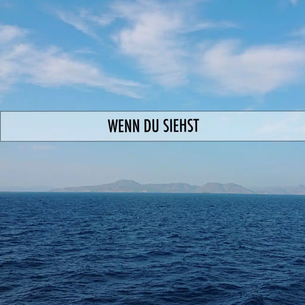 Wenn du siehst (feat. Freezy Trap)